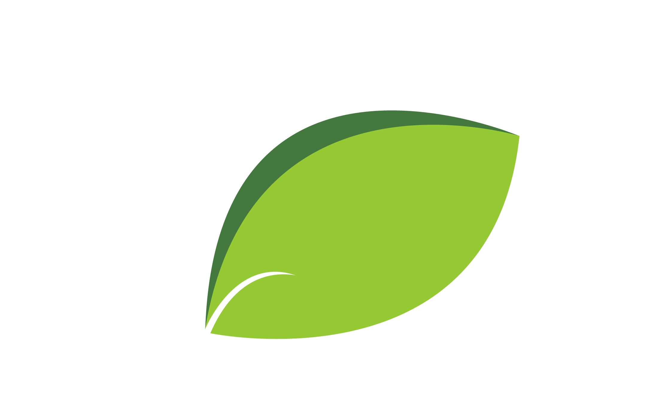 Leaf Icon